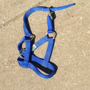 Baby calf halter (blue)